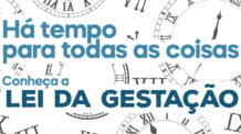 Há tempo para todas as coisas. Conheça a Lei da Gestação!